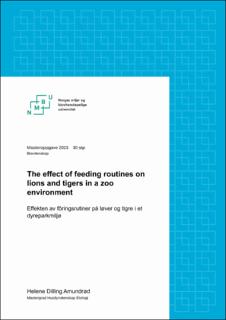 Brage NMBU: The effect of feeding routines on lions and tigers in a zoo ...